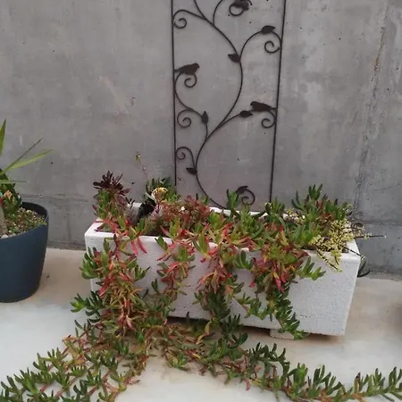 La Casa Gris Semesterbostad Alcanar